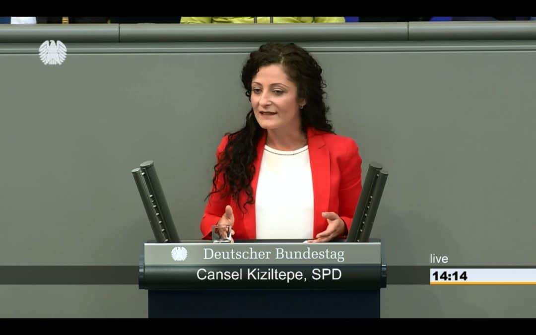 Bundestagsrede zur Überführung des ESM in einen europäischen Währungsfonds, 20.04.2018