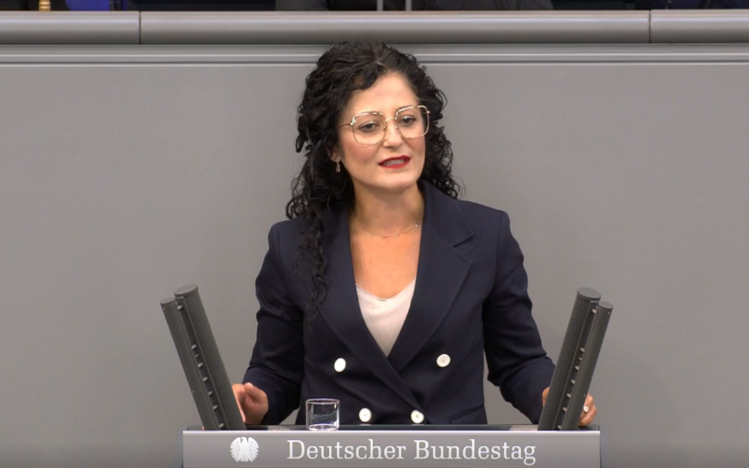Bundestagsrede zum Antrag von FDP, LINKE und Grüne „Einsetzung des 3. Untersuchungsausschusses der 19. Wahlperiode (Wirecard)“