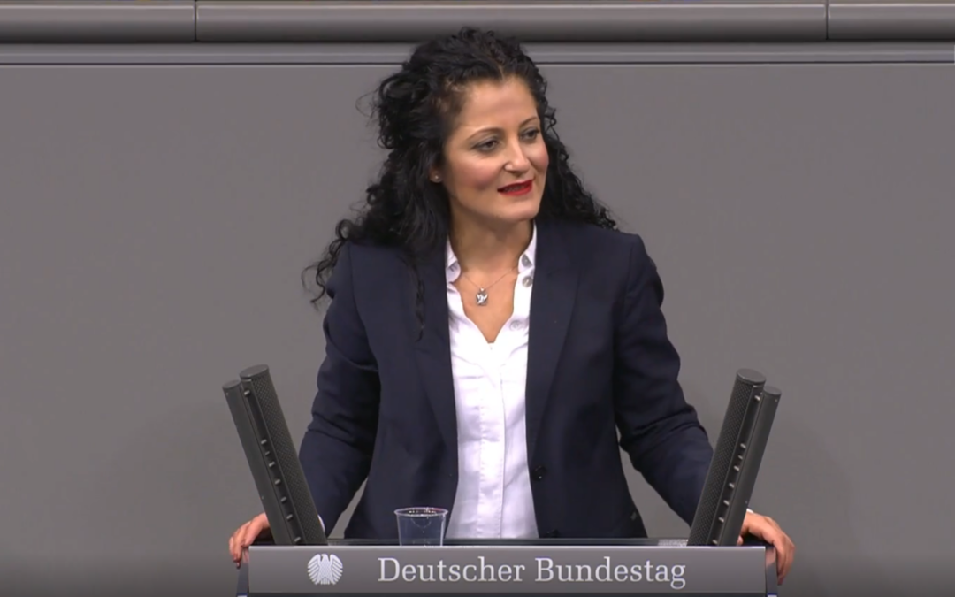 Bundestagsrede zur Reform der Wirtschaftsprüfung
